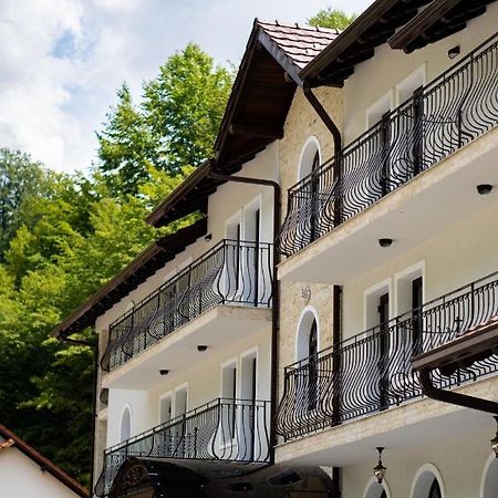 Hotel Perla Dacilor Gradistea de Munte Esterno foto